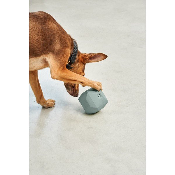 Jucărie pentru câine Dado Eucalyptus – MiaCara-image-2