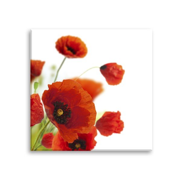 Tablou Styler Glas Maki Poppies, 30 x 30 cm