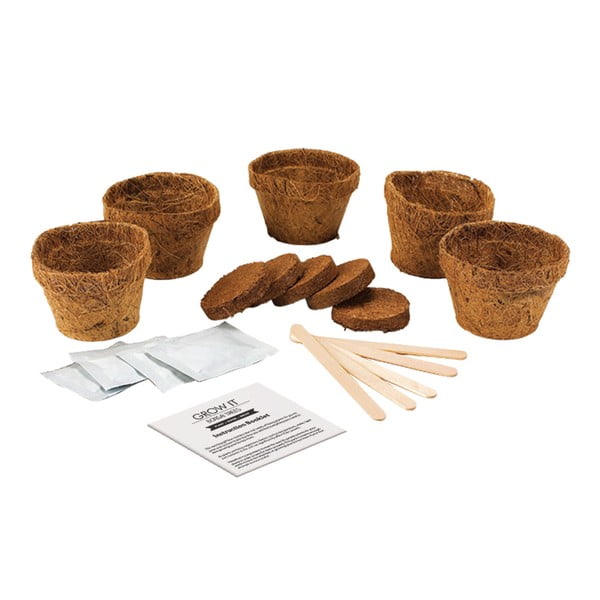 Set grădinărit cu semințe de bonsai Gift Republic Bonsai Trees-image-1