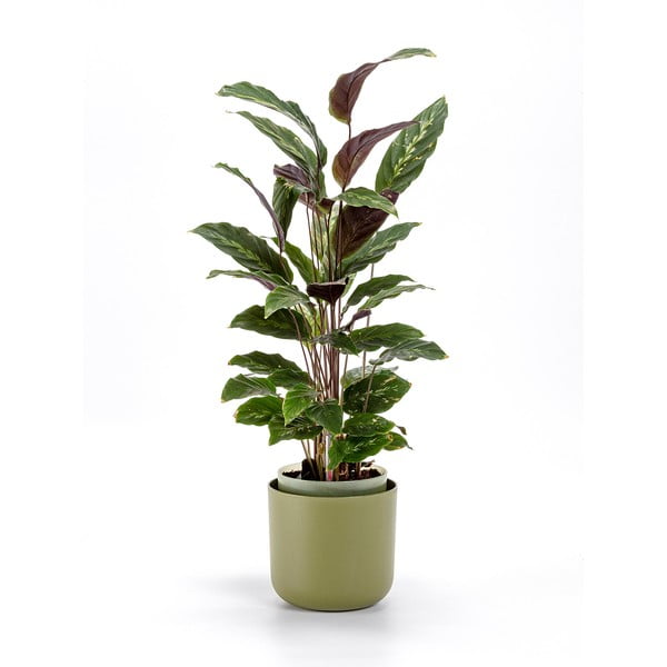 Ghiveci cu auto-udare Plastia Tolita, ø 16 cm, verde-image-1