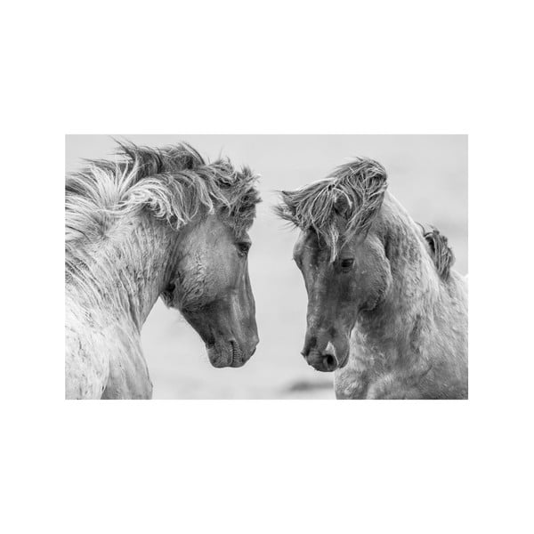 Tablou Horses, 45 x 70 cm