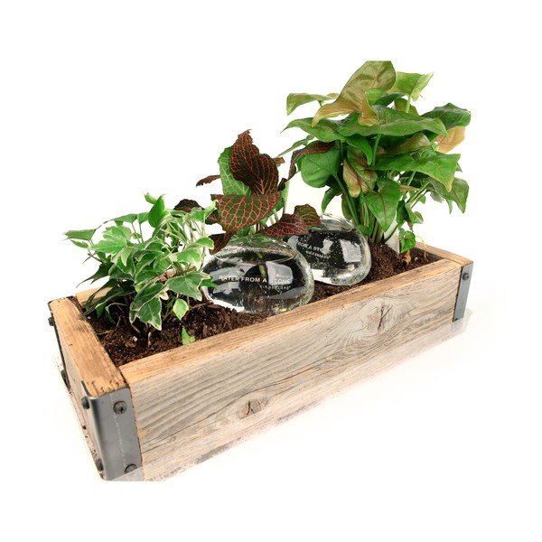 Dispozitiv cu apă pentru irigat Kikkerland Water From a Stone, 207 ml-image-2