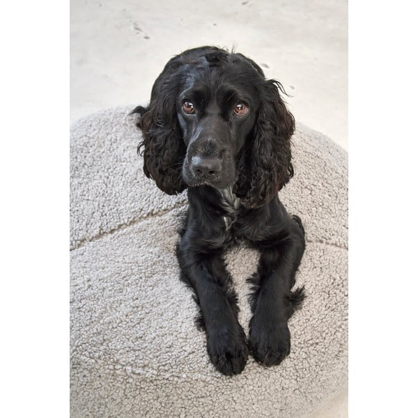 Pat  gri pentru câini din material bouclé ø 90 cm Senso Pouffe Pebble M/L – MiaCara-image-2