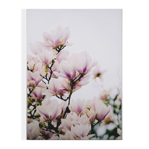 Tablou Graham & Brown Magnolia Blossoms, 50 x 70 cm