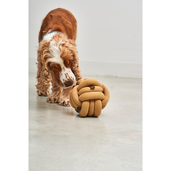 Jucărie pentru câine Tubo Curry – MiaCara-image-3