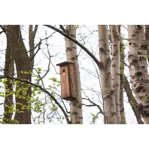 Căsuță pentru păsări din lemn – Esschert Design-image-1