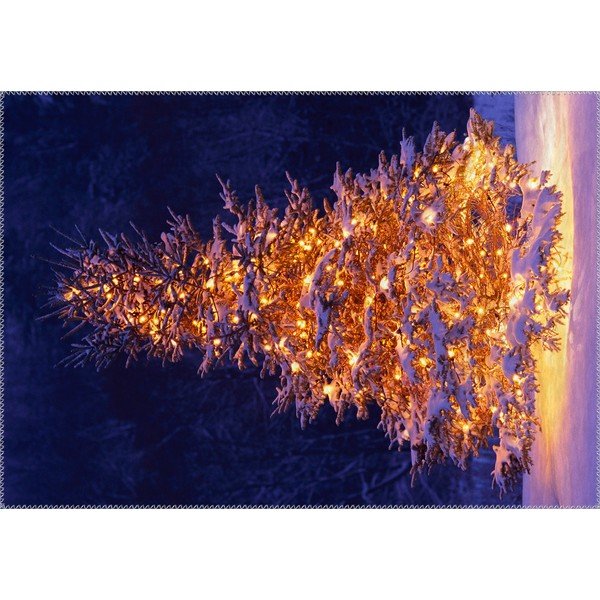 Covor Vitaus Christmas Period Lit Up Tree Outside, 50 x 80 cm