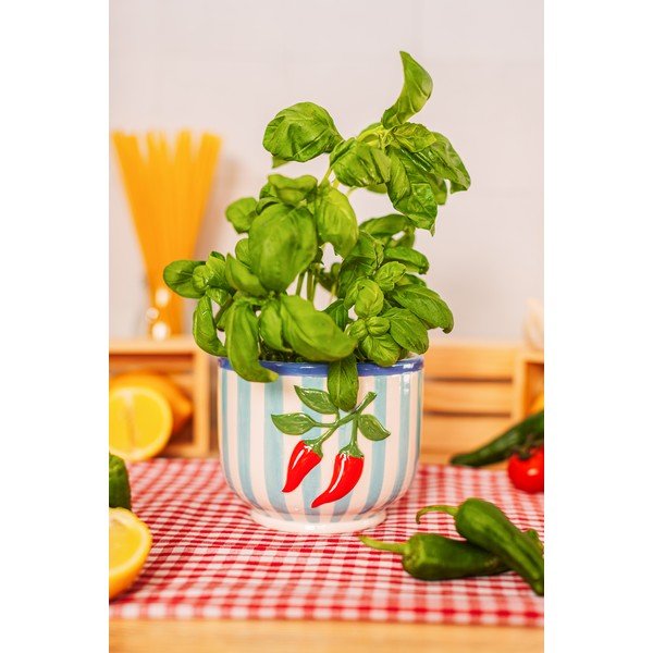Ghiveci decorativ din ceramică pictată manual ø 12 cm Chilli – Sass & Belle-image-1