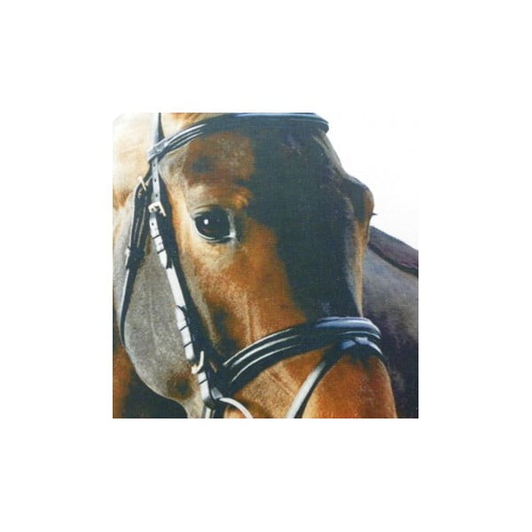  Pernă Mars&More Horse, 50 x 50  cm-image-1