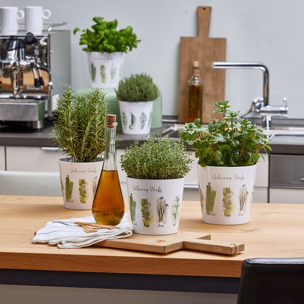 Ghivece din ceramică 2 buc. pentru plante aromatice ø 14 cm Dalllas Culinary - Big pots-image-2