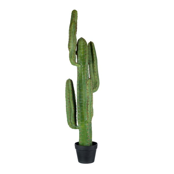 Plantă decorativă J-Line Cactus, înălțime 114 cm