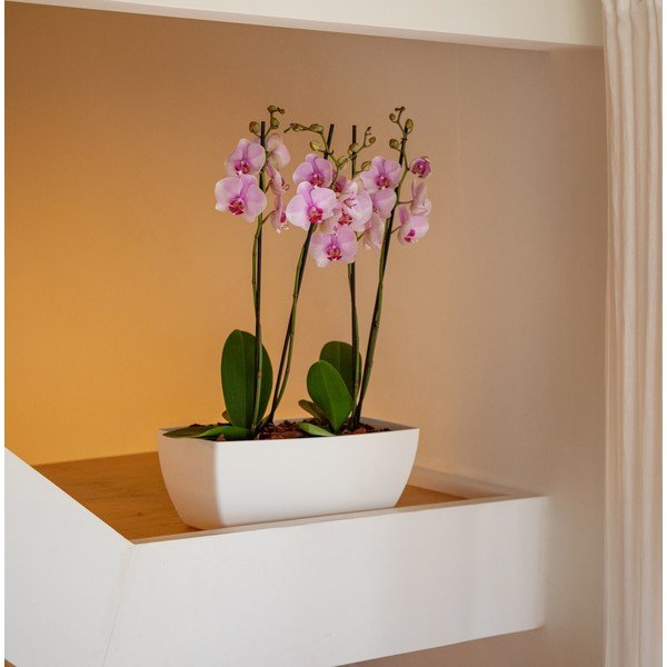Jardinieră din plastic reciclat 40 cm Siena – Artevasi-image-4