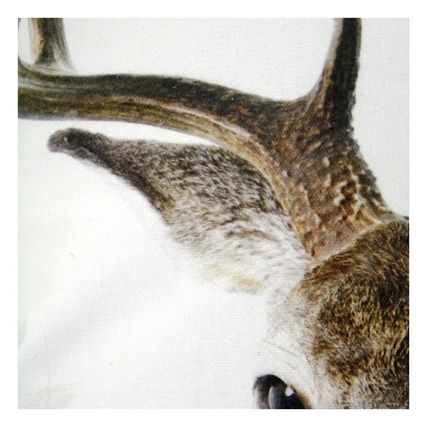 Pernă Deer 50x50 cm-image-1