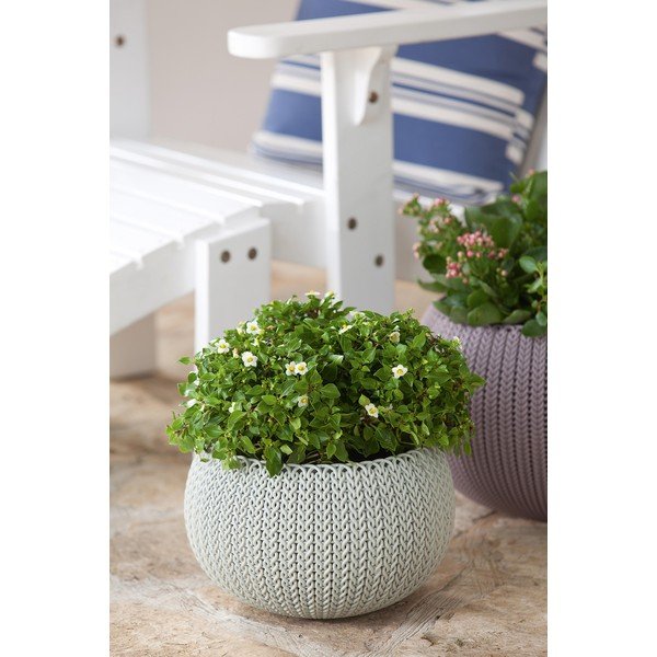 Ghiveci din plastic suspendat și de perete ø 36 cm Cozy – Keter-image-3