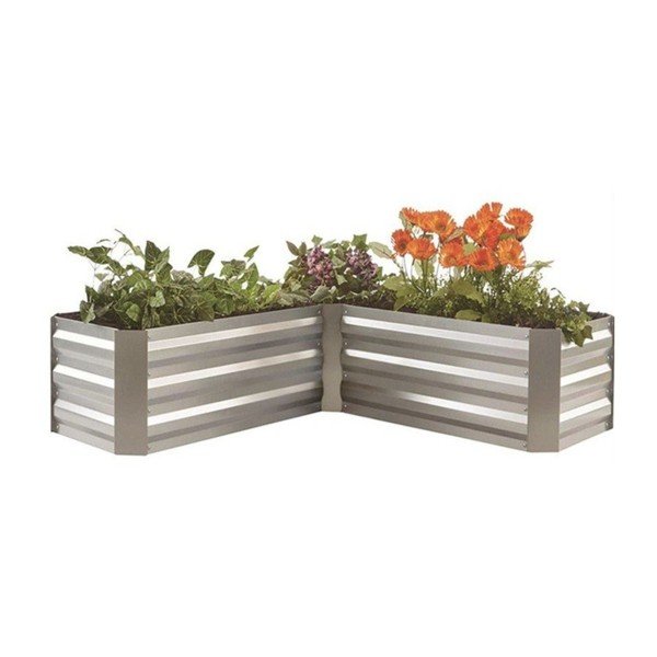 Pat ridicat de plante Magnolia – Garden Pleasure-image-1