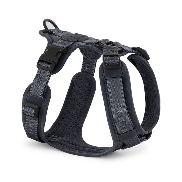 Ham gri închis XS lungime 25 cm Modena Asphalt XS – MiaCara