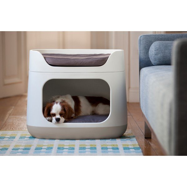 Pat pentru pisici și câini Curver Bunkbed, bej-image-1