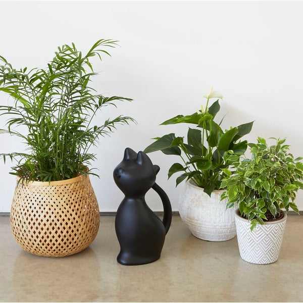 Stropitoare din plastic 2 l Meow – Balvi-image-1