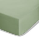 Cearceaf verde din bumbac percale cu elastic 90x190 cm Easy Iron Percale – Catherine Lansfield