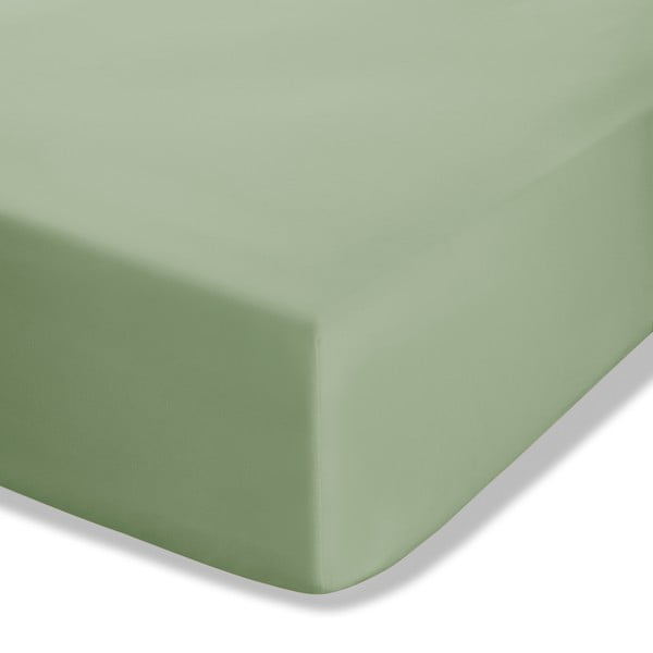 Cearceaf verde din bumbac percale cu elastic 90x190 cm Easy Iron Percale – Catherine Lansfield