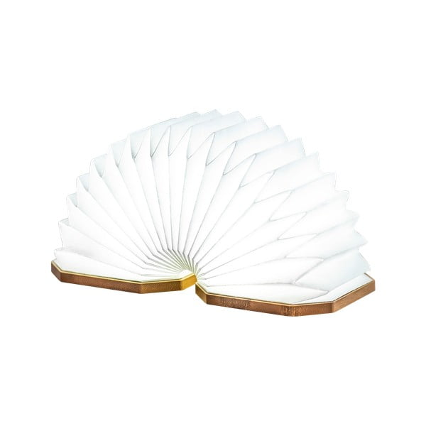 Decorațiune luminoasă maro cu USB Accordion – Gingko-image-4