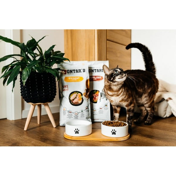 Set boluri cu suport pentru câini din ceramică ø 13 cm Dog Fantasy – Plaček Pet Products-image-1