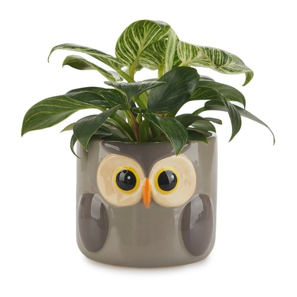 Ghiveci din ceramică ø 13,5 cm Owl – Balvi-image-2