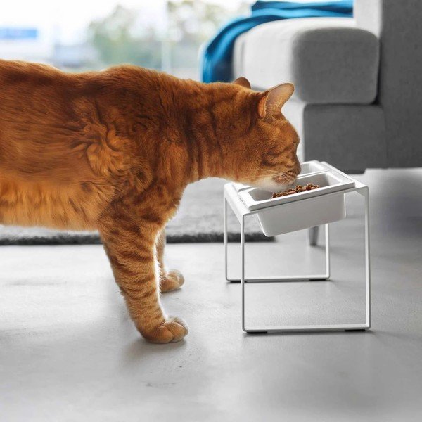 Set boluri cu suport pentru animale de companie din ceramică Nooks – YAMAZAKI-image-1