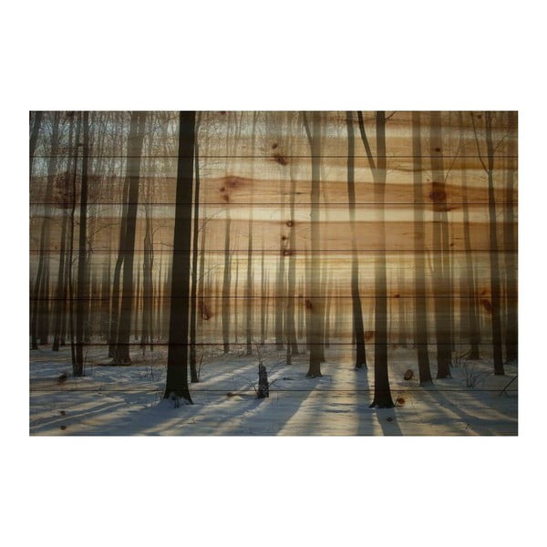 Tablou pe lemn Marmont Hill Wooden Age, 61 x 41 cm