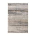 Covor bej 200x300 cm Camino – Flair Rugs