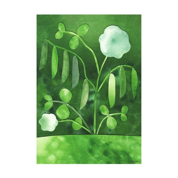 Poster 50x70 cm Peas in Bloom – Anna Ravn Bjørn – The Poster Club