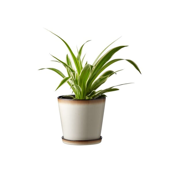 Ghiveci din gresie ø 14 cm Gastro  – Bitz-image-1