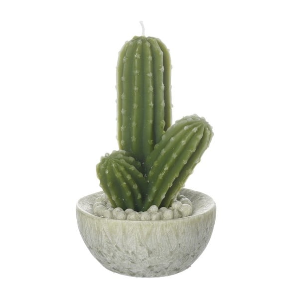 Lumânare Heaven Sends Cactus