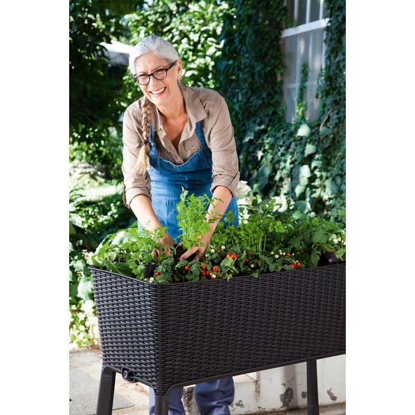 Jardinieră Easy Grow – Keter-image-3