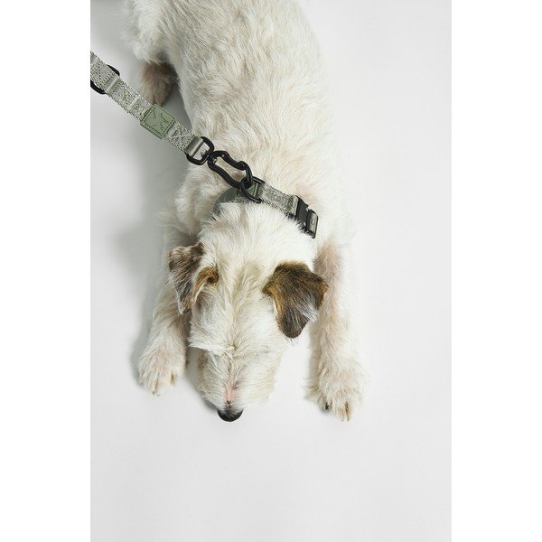 Zgardă verde M/L lungime 35 cm Modena Grolive M/ML – MiaCara-image-4