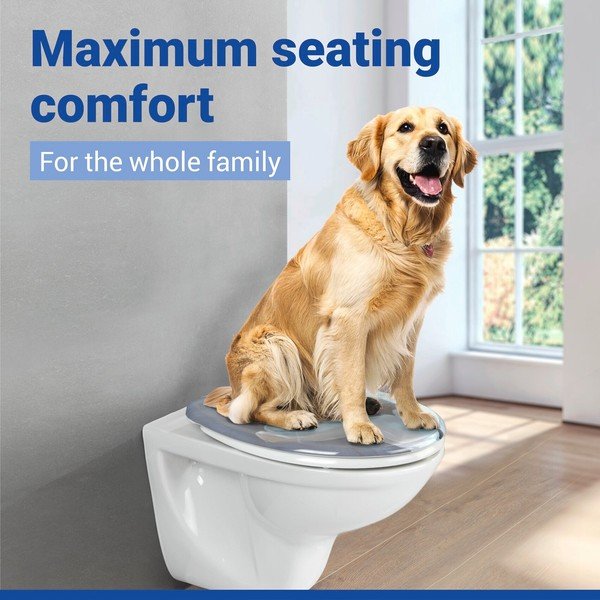 Capac WC 36,8 x 43 Easy-Close (cu închidere automată) Fleur – Allstar-image-1