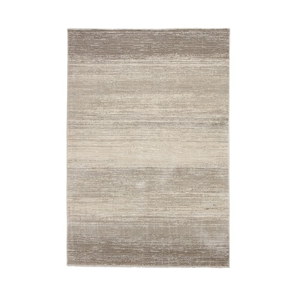 Covor gri/bej 160x230 cm Geneva – Think Rugs