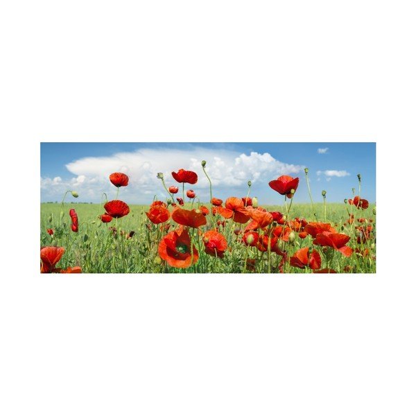 Tablou din sticlă Insigne Saskia, 92 x 36 cm-image-1