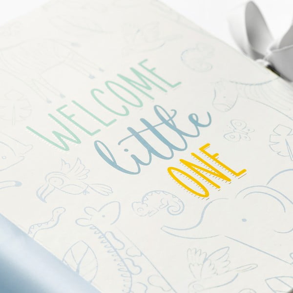 Jurnal pentru bebeluș 98 pag. Blue – Busy B-image-1