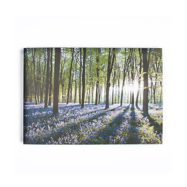 Tablou Graham & Brown Bluebell Landscape, 100 x 70 cm