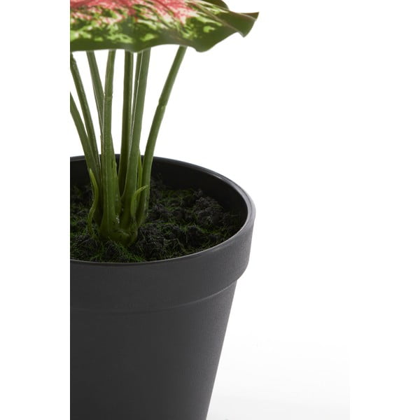Plantă artificială (înălțime 40 cm) Caladium – Light & Living-image-2