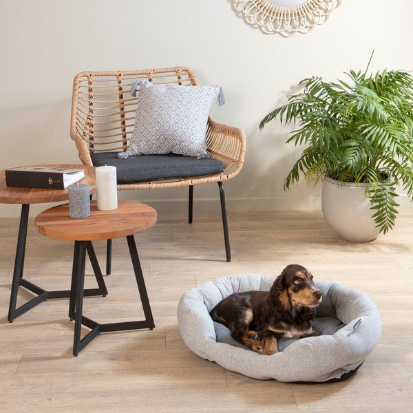 Pat pentru animale de companie gri pentru câini 45x60 cm – Love Story-image-3