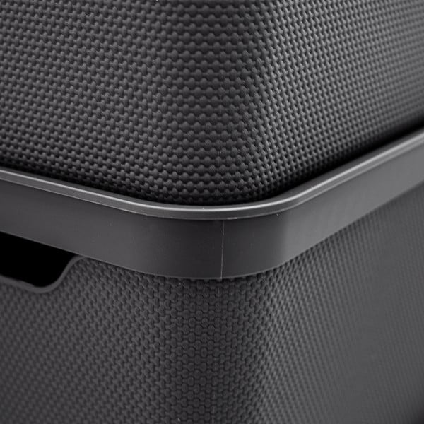 Cutie de depozitare din plastic cu capac Deco  - Rotho-image-1