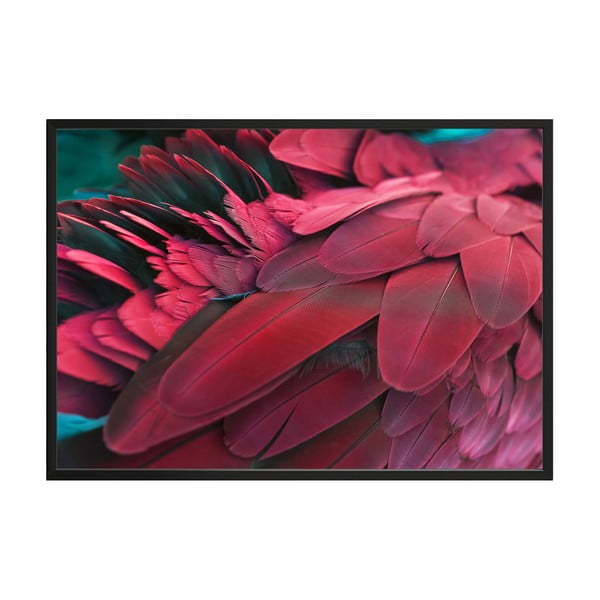 Poster DecoKing Feathers Red, 100 x 70 cm