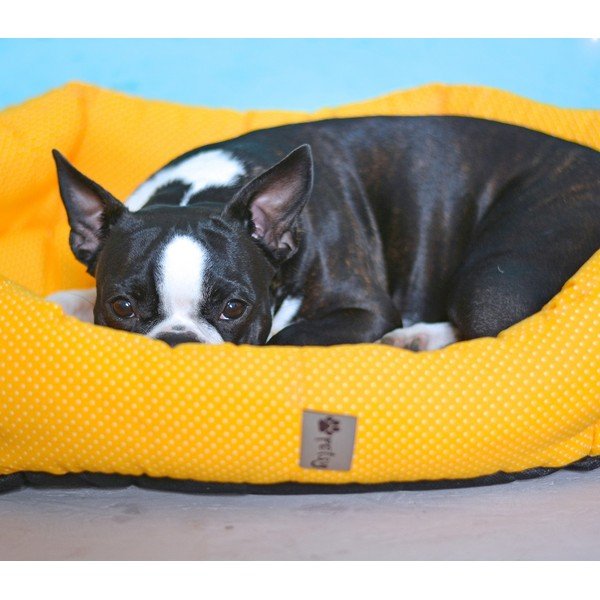 Pătuț pentru animale de companie, galben, din bumbac, 75x60 cm Sunny - Petsy-image-1