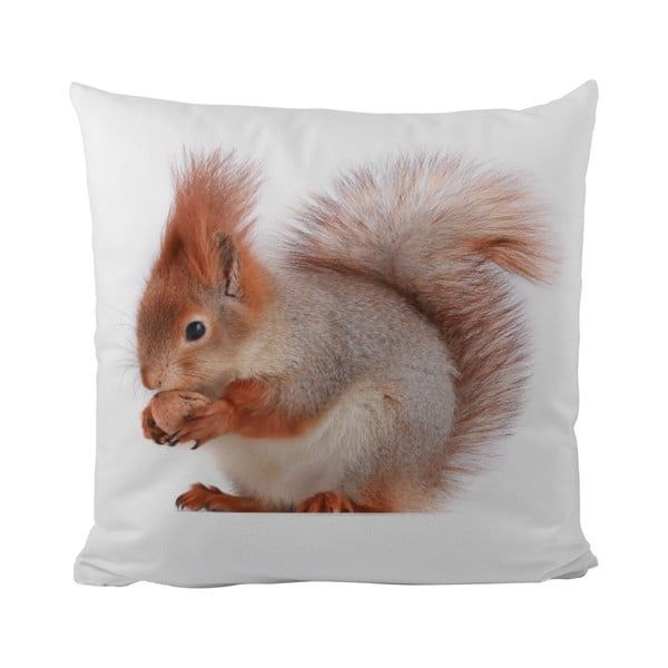 Pernă This Squirrel, 50x50 cm