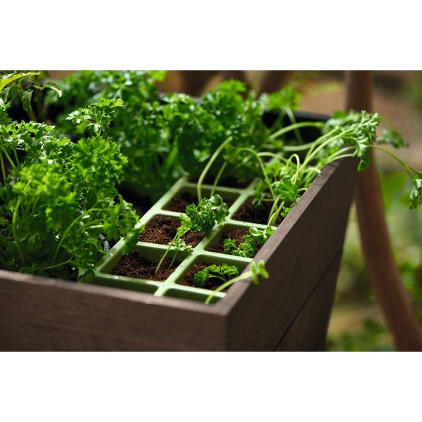Ghivechi pentru plante Urban – Keter-image-3