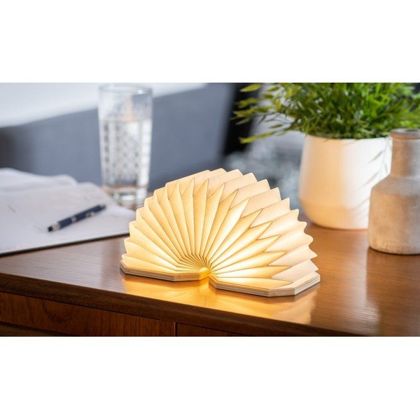 Decorațiune luminoasă în culoare naturală cu USB Accordion – Gingko-image-1