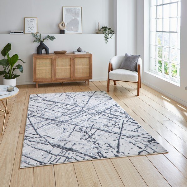 Covor gri deschis 120x170 cm Artemis – Think Rugs-image-1