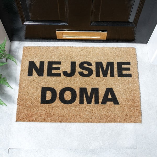 Covoraș de intrare din fibre de nucă de cocos 40x60 cm Nejsme Doma – Artsy Doormats-image-2